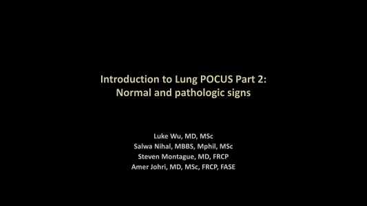 LUS Part 2 - Normal and pathologic findings