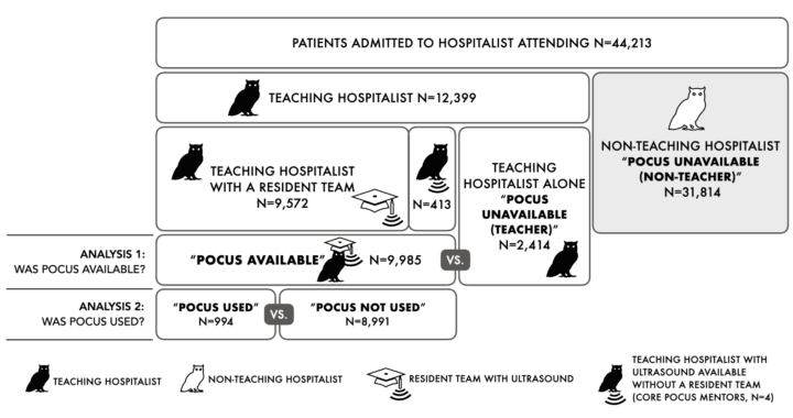 Vol 08 Iss 02 - NOV 2023 Archives - Page 3 of 3 - POCUS Journal